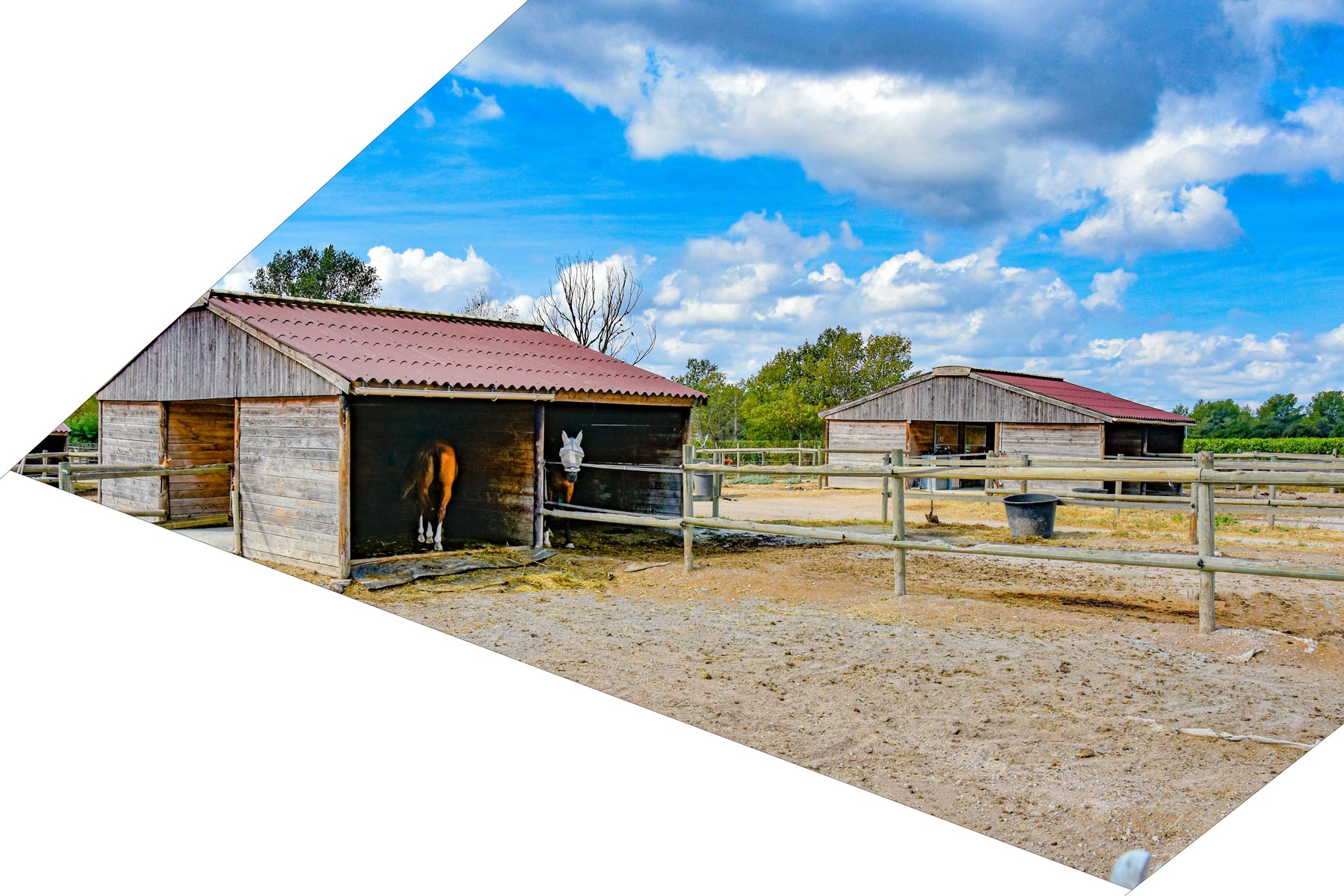 les murettes barns pensions chevaux Roquebrune sur argens valorisation