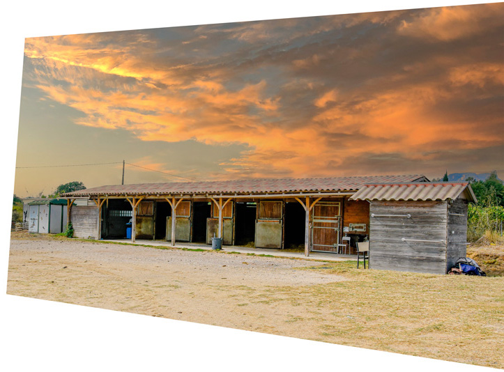 boxes-les-murettes pension chevaux férus
